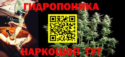 стаф Кунгур