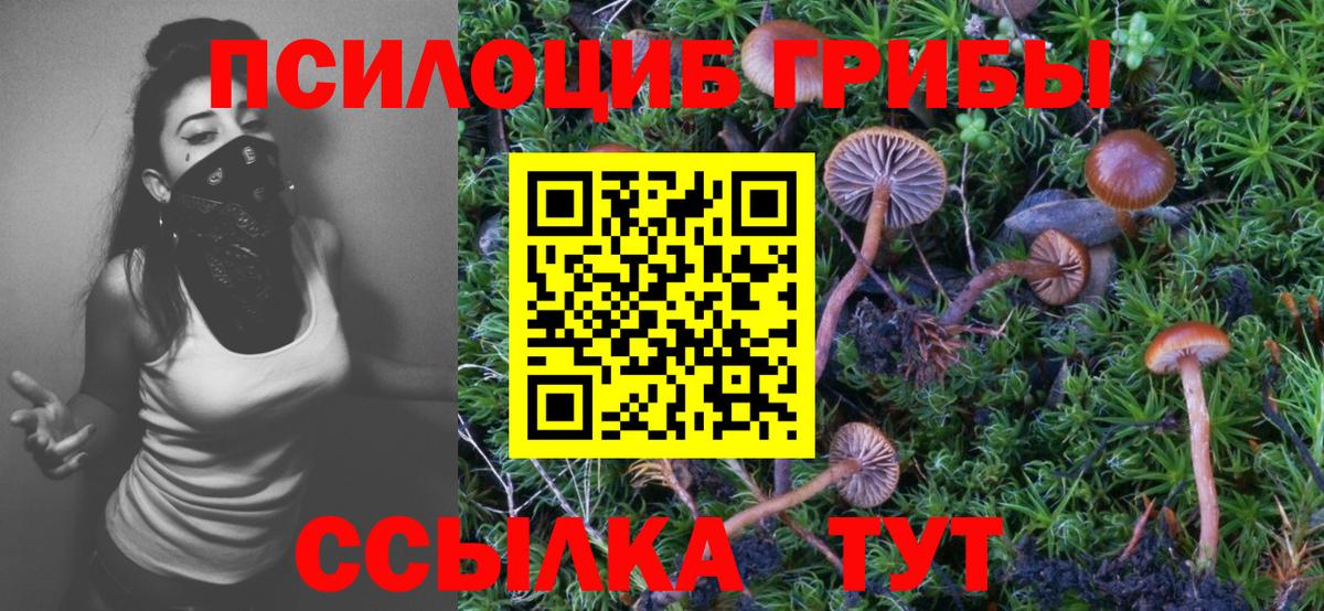 Туймазы  Псилоцибиновые грибы Psilocybe  Вход с VPN 